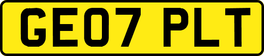 GE07PLT