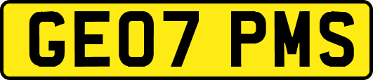 GE07PMS