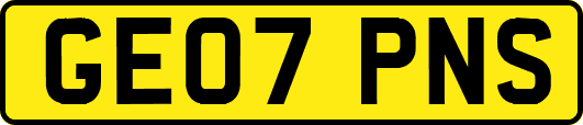 GE07PNS