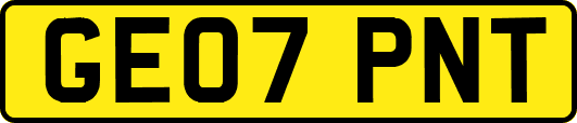 GE07PNT