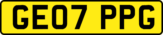 GE07PPG