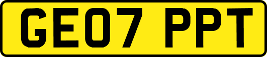 GE07PPT