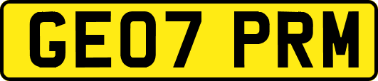 GE07PRM