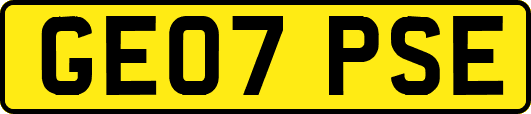 GE07PSE