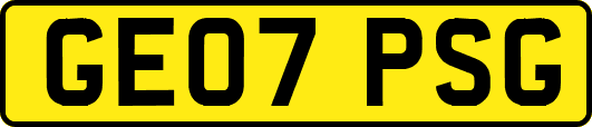GE07PSG