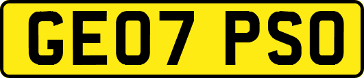 GE07PSO