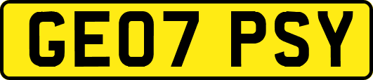 GE07PSY