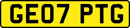 GE07PTG