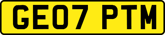 GE07PTM