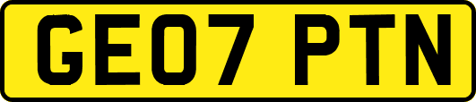 GE07PTN
