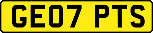 GE07PTS