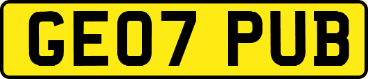 GE07PUB