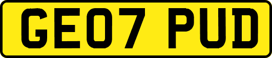 GE07PUD