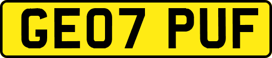 GE07PUF