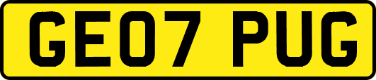 GE07PUG