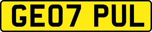 GE07PUL