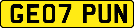 GE07PUN