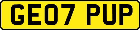 GE07PUP