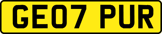 GE07PUR