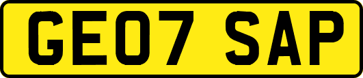 GE07SAP