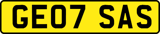 GE07SAS
