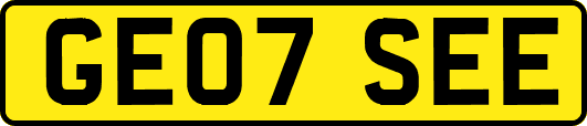 GE07SEE