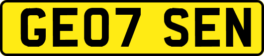 GE07SEN
