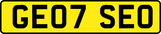 GE07SEO