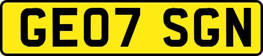 GE07SGN