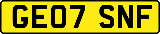 GE07SNF