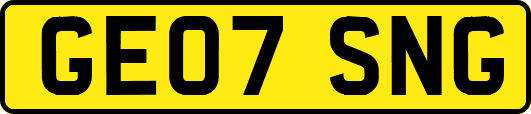 GE07SNG