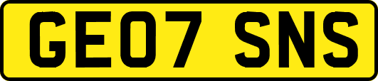 GE07SNS
