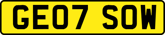 GE07SOW