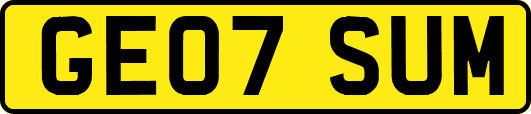 GE07SUM