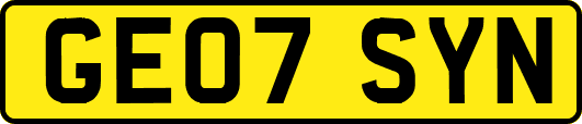 GE07SYN