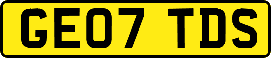 GE07TDS