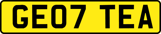 GE07TEA