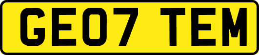 GE07TEM