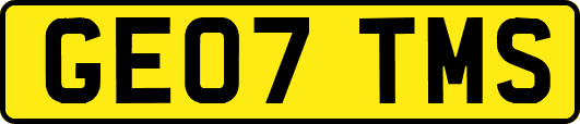 GE07TMS