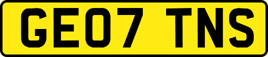 GE07TNS