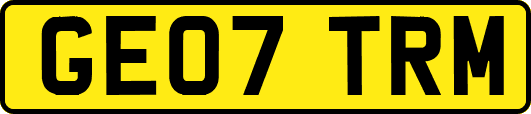 GE07TRM