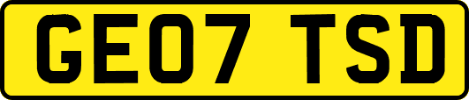 GE07TSD
