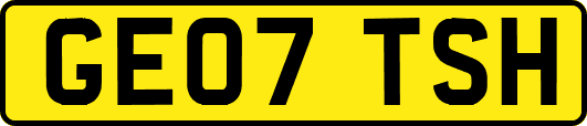 GE07TSH