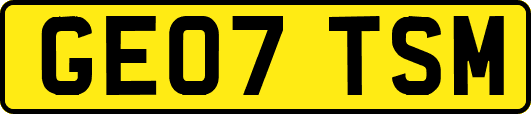 GE07TSM
