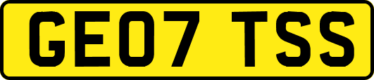 GE07TSS