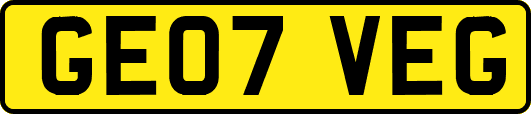 GE07VEG