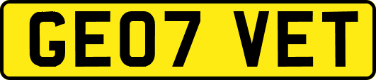 GE07VET