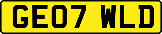 GE07WLD