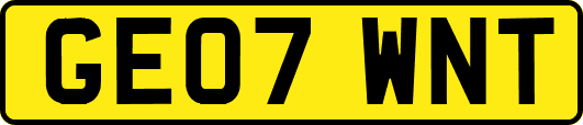GE07WNT