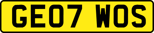 GE07WOS